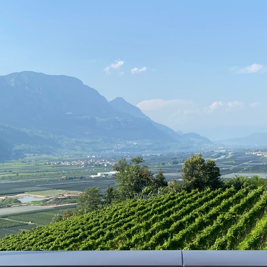 Aussicht Ansitz Dornach